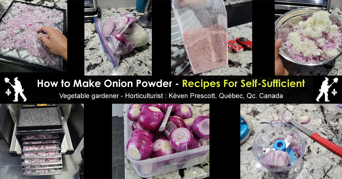 How to make onion powder