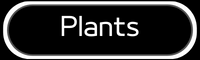 Plants - articles