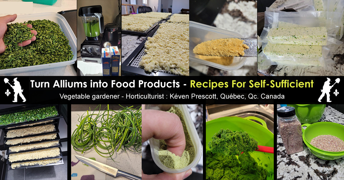 How to transform alliums into food products