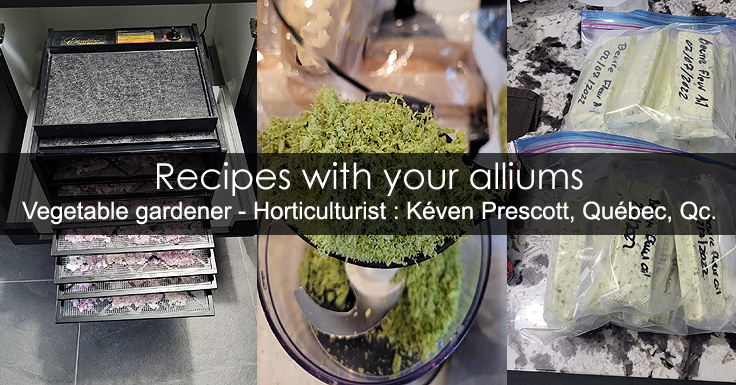 Recipes with alliums