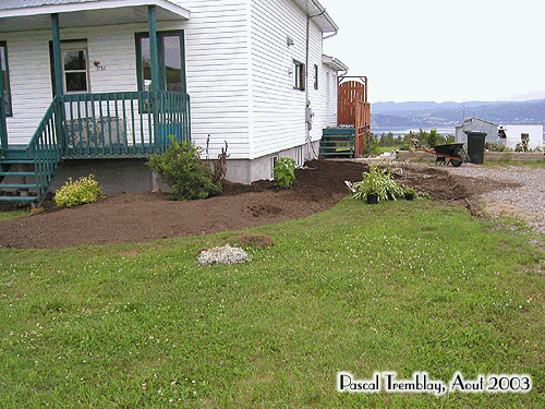 Planting around house foundation