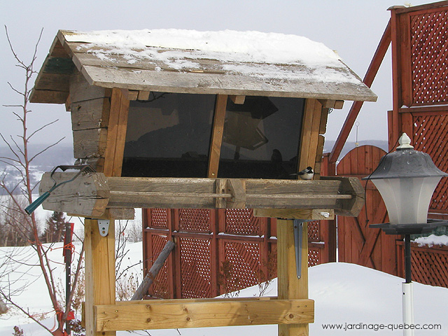 Large capacity pole mounted bird feeder