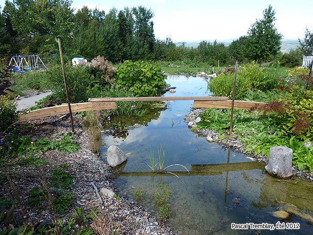 Pond Bridge framing - Woodworking Free plans - Build a bridge over a pond
