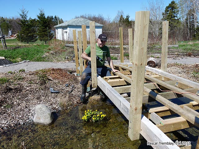 Lanscaping with a Wood bridge - Educational Bridge Project