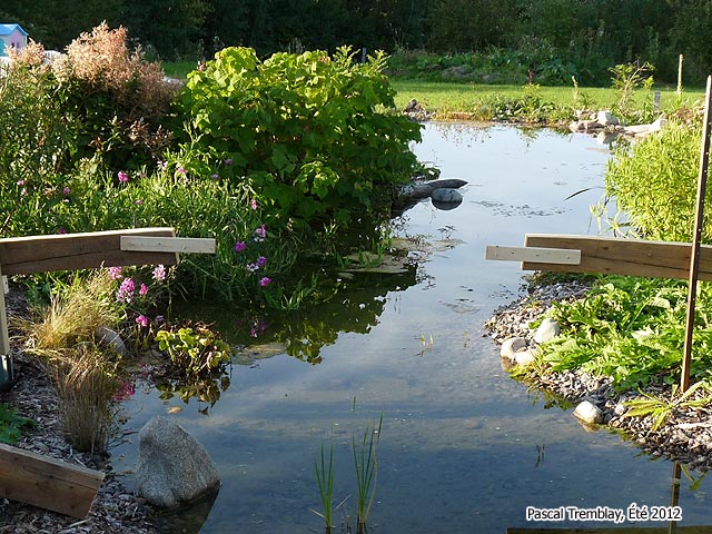 How to build a Japanese Pond Bridge - Water gardening projets - Wate rgardening Products 