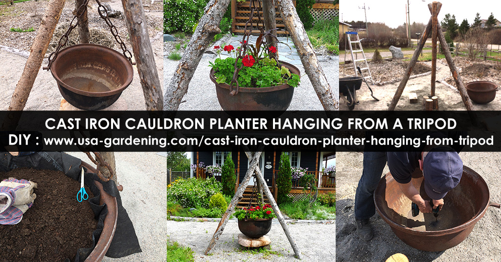Cast Iron Cauldron as Vintage Planter