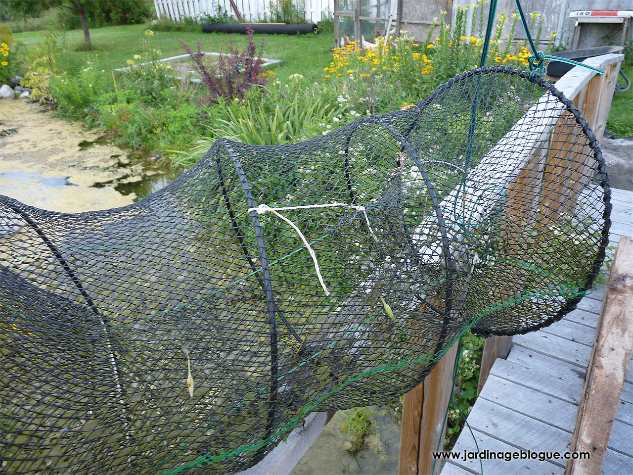 Homemade fishing trap for garden pond