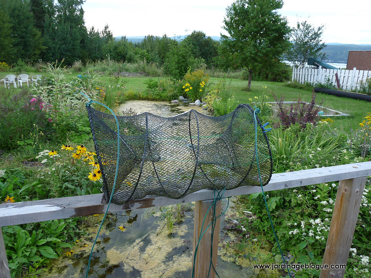 Homemade fishing trap for garden pond