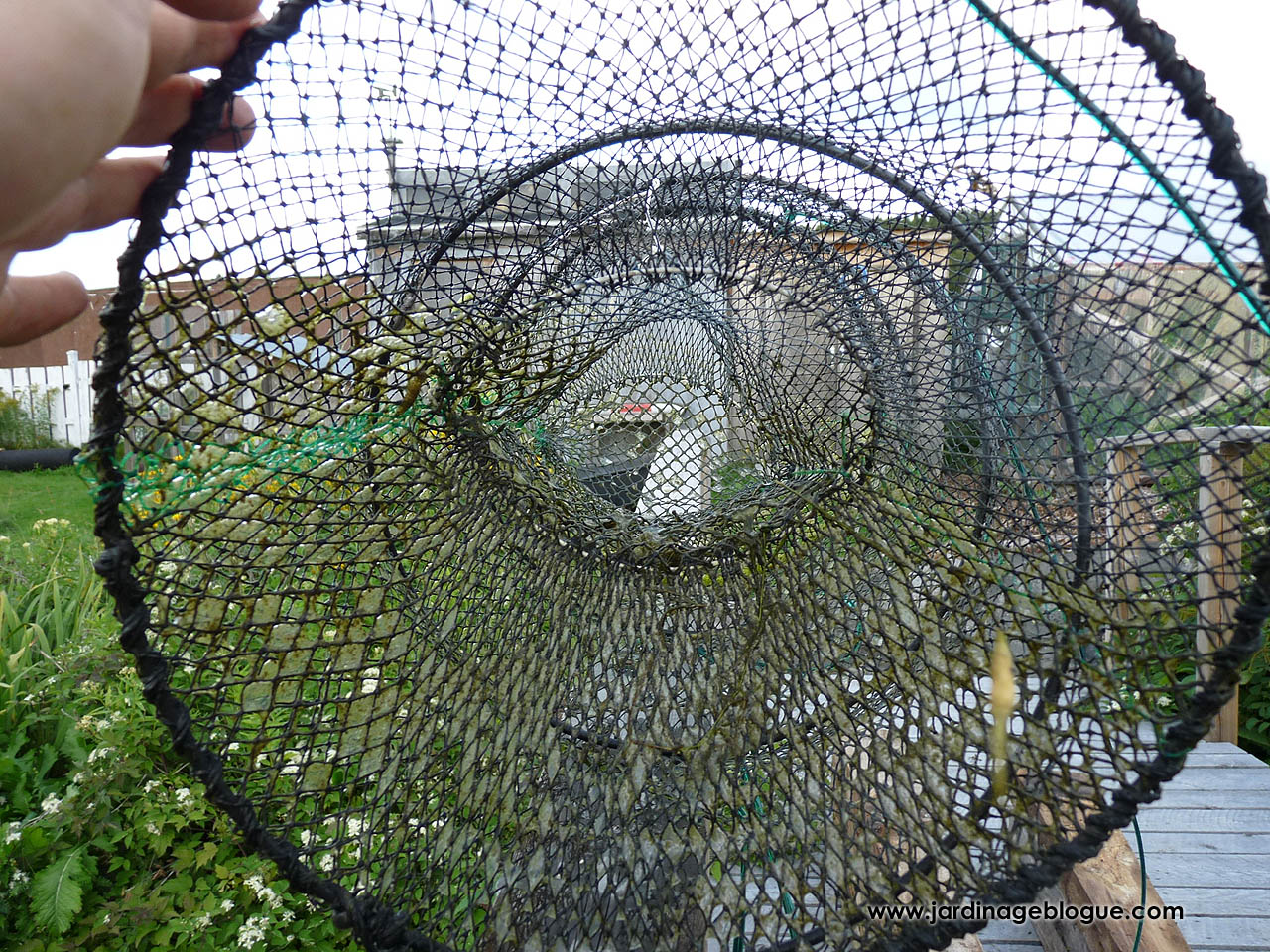 Collapsible Fish Trap with Thick Wire