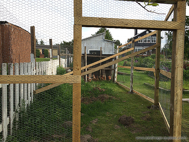 Installing a Chicken Wire Fence - Building a Chicken Run
