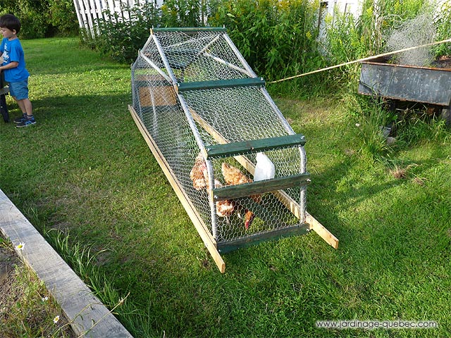 Chicken Tractor for your garden - Mobile hen house building pictures