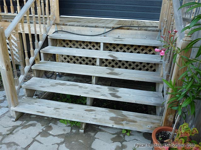 How to clean wooden stair - Wood Cleaner for deck - Wood cleaning solution