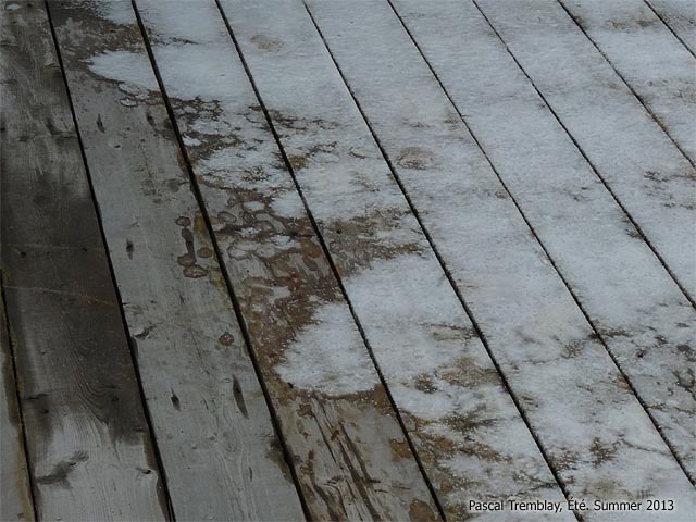 Wood deck care and maintenance - mold cleaner - clean outdoor wood - cleaning pressure-treated wood