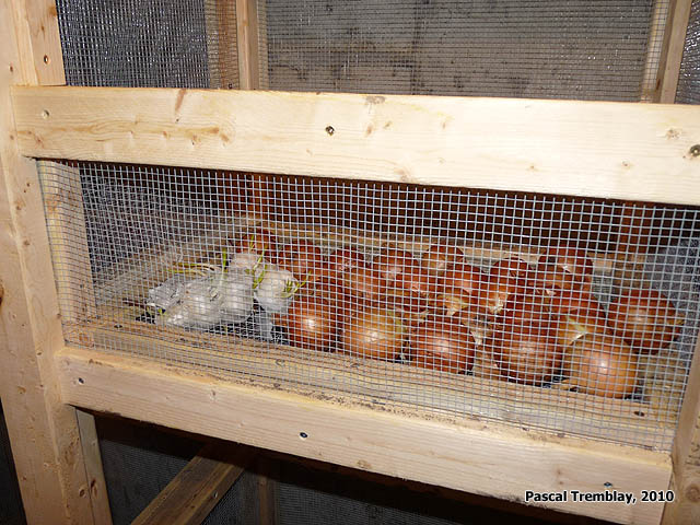 Basement root cellar - Cold-Storage Unit - Onion storage Bins - Kitchen garden storage - Food storage ideas