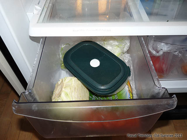 Put seeds inside the refrigerator - Cold stratification technique - DIY cold stratification