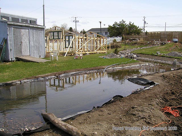 Edging pond - edging stream design idea - Stream Bed and bank - Shoreline of the Creek