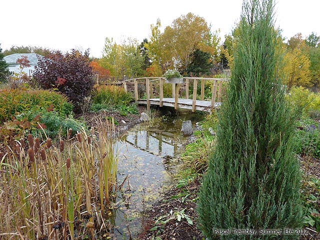 Build a Stream - Build a Creek - Garden stream designs ideas