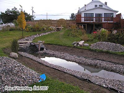 Pond and Stream rock landscape - Home Creek landscaping