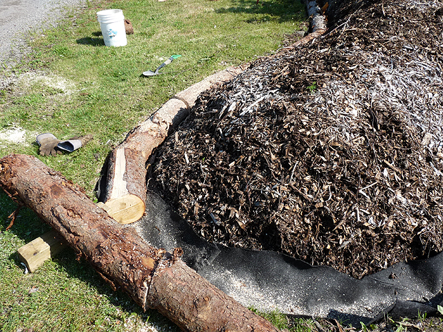 How to cut logs for curved log edging