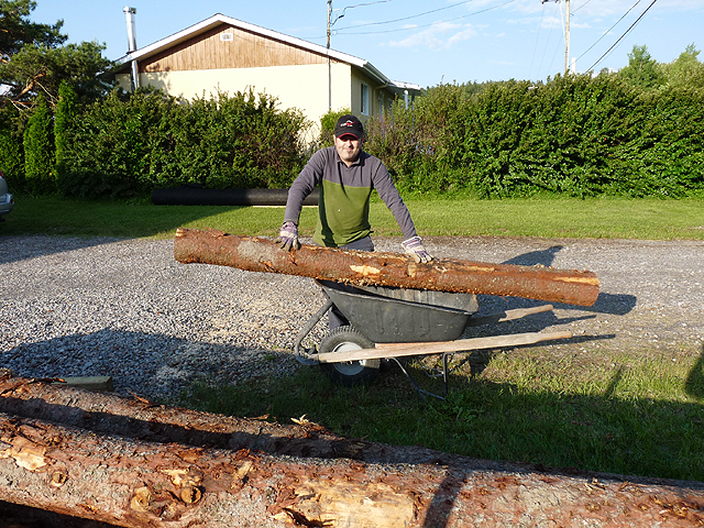 Loading logs