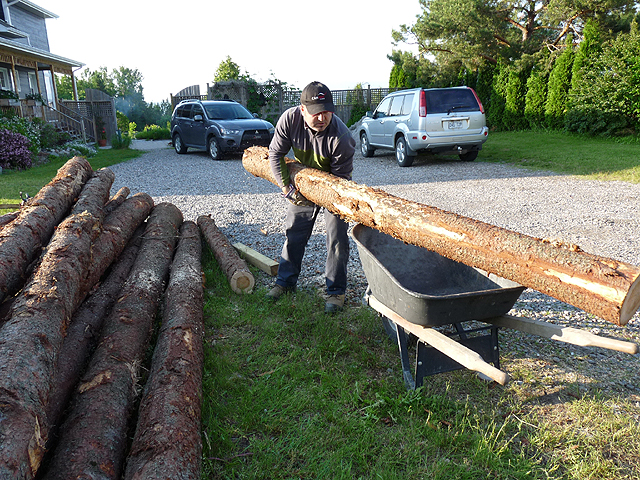 Log Edging