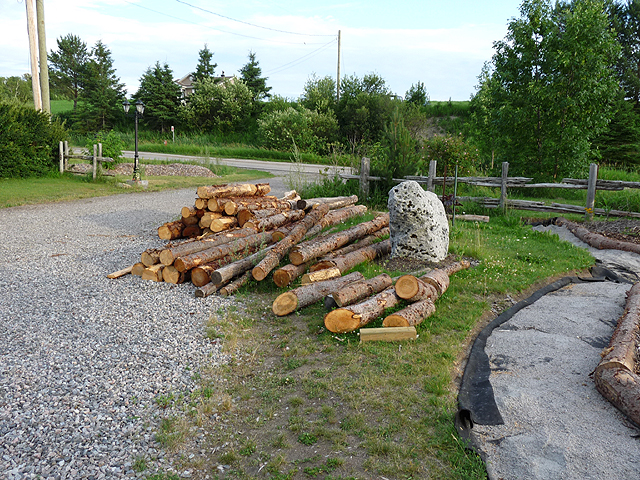 Moving big logs without big equipment