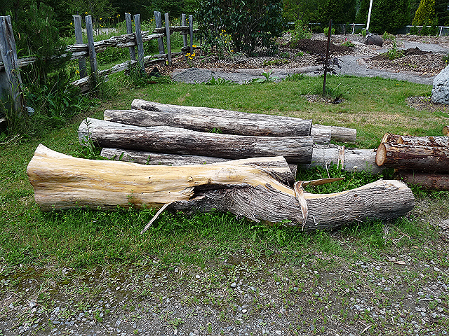 Cedar logs