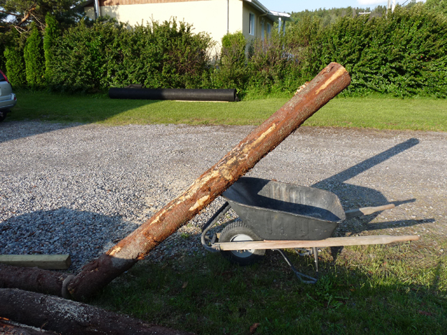 Way to move heavy logs