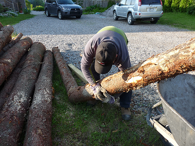 How to load logs into a wheelbarrow