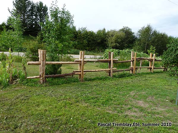 Build a log fences Guide - Log fence Design ideas - Cedar fence