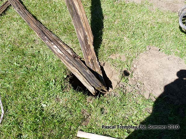 Installing Cedar Posts - Plan to build Cedar fence - Build Logs fence