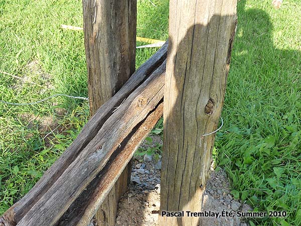 How to make a cedar fence from cedar logs - Western Red Cedar Split Rail Fence