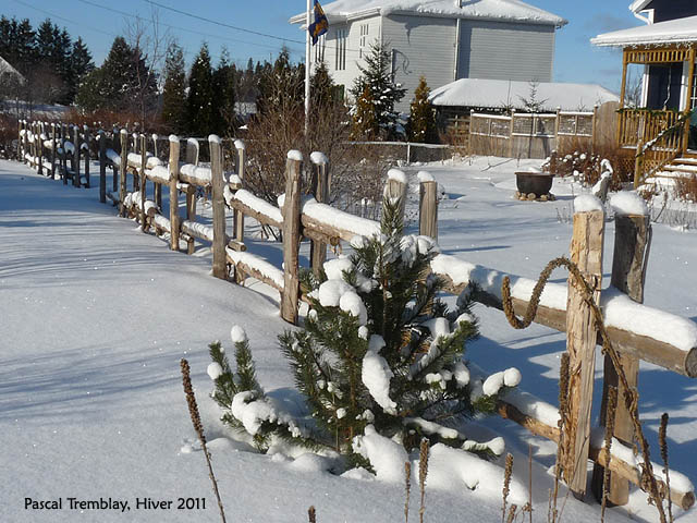 How to Build Cedar rail fences - The fences - Fences pictures ideas