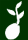 Semences et germination