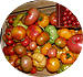 Le Potager - Lgumes et fruits