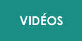 Vidos