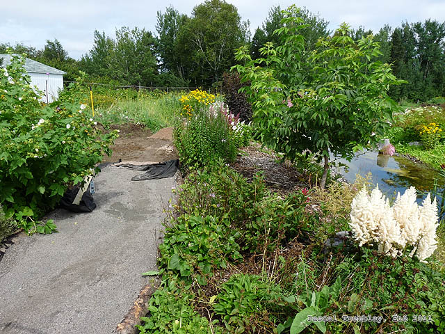 Construire des passages - Construire un sentier - Construire un chemin - Construire une alle pour jardin