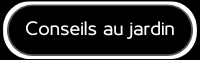 Conseils au jardin et maison