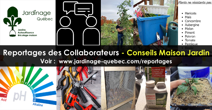 Conseils maison et jardin