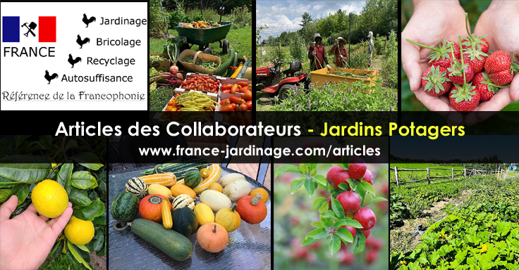 Potager