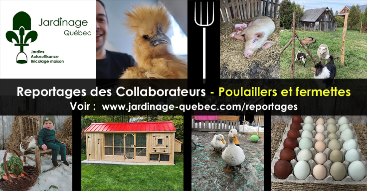 Poulaillers