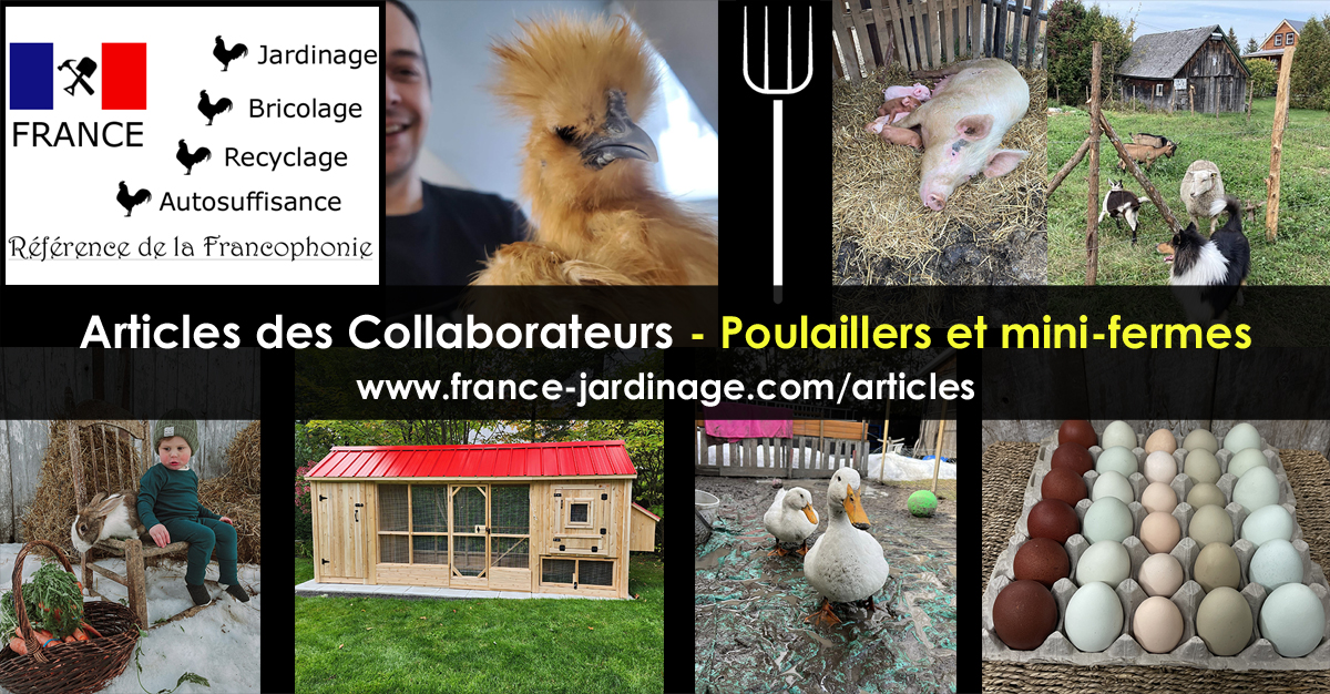 Achat poulaillers