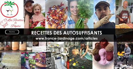 Recettes