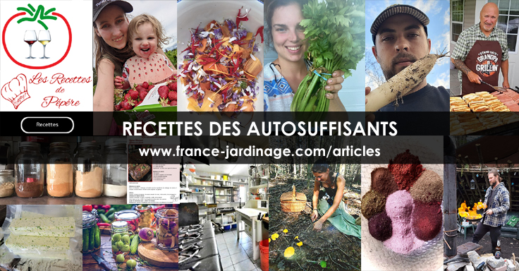 Recettes françaises