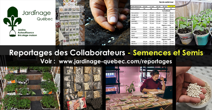 Échange de semences