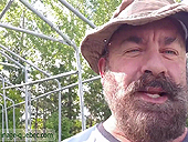 Serre en structure de métal