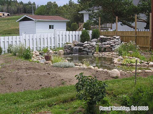 Comment faire un Jardin d'eau Bassin - Comment amnager un plan d'eau