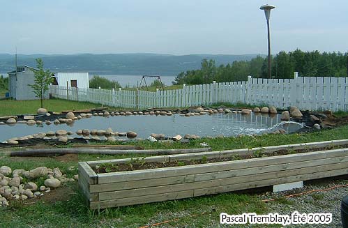 Amnagement des berges - Bordure du bassin d'eau - Construction d'un tang - Faire un Jardin d'eau