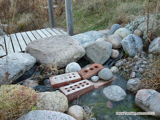 Prparer bassin extrieur pour l'hiver - Prparer tang pour l'hiver - Prparer plan d'eau pour l'hiver - Prparer jardin d'eau pour l'hiver