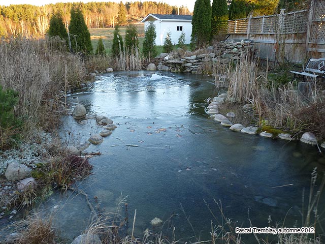 Systme antigel jardin aquatiques dglaceur - Garder Poissons hiver - Sauver ses poisson l'hiver